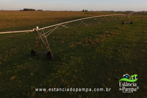 Fazenda com 1496 ha em Cachoeira do Sul localidade Irapu�.00_01_22_18.Quadro029_1df99d5003e20f20fc2d1af38c313a8e670cf180.jpg